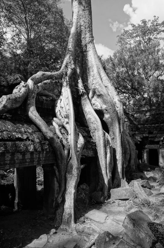 Ta Prohm